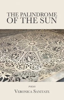 Paperback The Palindrome of the Sun Book