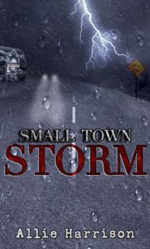 Paperback Small Town Storm Book