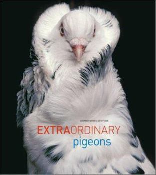 Hardcover Extraordinary Pigeons Book