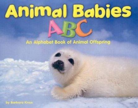 Hardcover Animal Babies ABC: An Alphabet Book of Animal Offspring Book