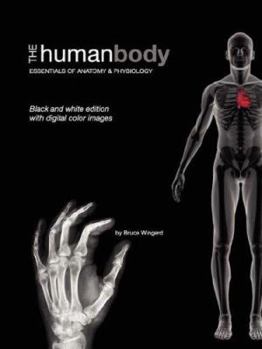 Paperback The Human Body: Essentials of Anatomy & Physiology (Black and White Version) Book