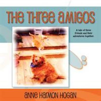 Paperback The Three Amigos Book