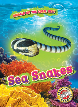 Library Binding Sea Snakes Book
