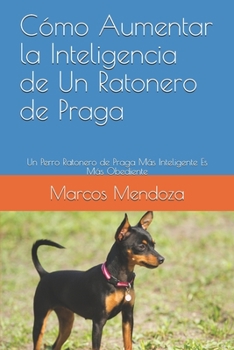 Cómo Aumentar la Inteligencia de Un Ratonero de Praga: Un Perro Ratonero de Praga Más Inteligente Es Más Obediente
