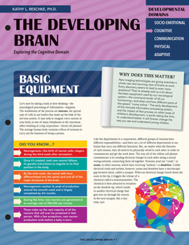 The Developing Brain: Exploring the Cognitive Domain