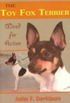 The Toy Fox Terrier: Wired for Action