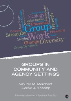 Paperback Groups in Community and Agency Settings Book