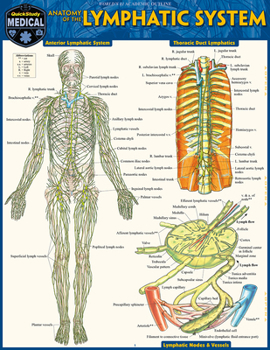 Misc. Anatomy of the Lymphatic System: A Quickstudy Laminated Reference Guide Book