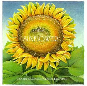 Hardcover The Sunflower Book