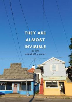 Paperback They Are Almost Invisible Book