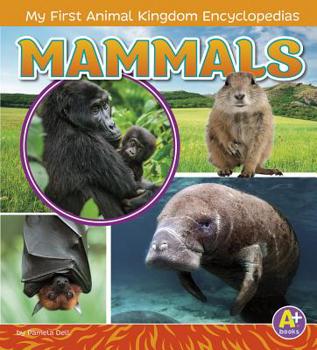 Mammals - Book  of the My First Animal Kingdom Encyclopedias