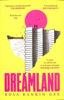 Paperback Dreamland: A postcard from a future that's closer than we think Book