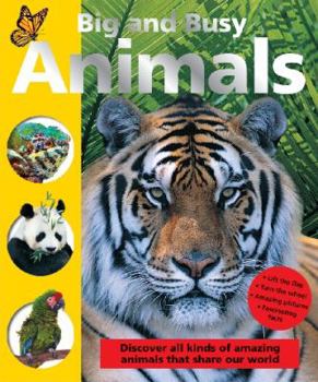 Hardcover Big and Busy Animals Book