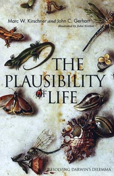 Paperback The Plausibility of Life: Resolving Darwin's Dilemma Book