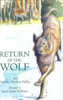 Hardcover Return of the Wolf Book