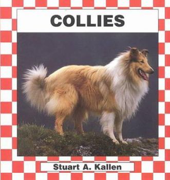 Collies (Dogs Set Ii)