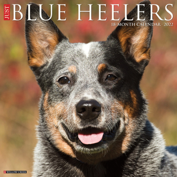 Calendar Just Blue Heelers 2022 Wall Calendar (Dog Breed) Book