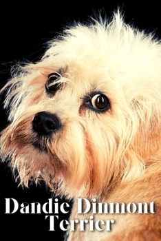 Paperback Dandie Dinmont Terrier: Dog breed overview and guide Book
