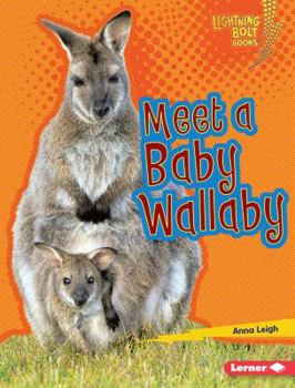 Library Binding Meet a Baby Wallaby Book