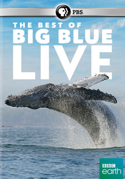 DVD The Best of Big Blue Live Book