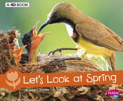 Let's Look at Spring (Pebble Plus) - Book  of the Investigate the Seasons