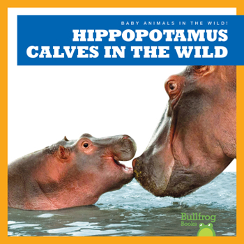 Library Binding Hippopotamus Calves in the Wild Book