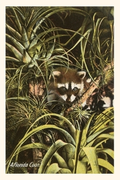 Paperback Vintage Journal A Florida Coon, Pineapples Book