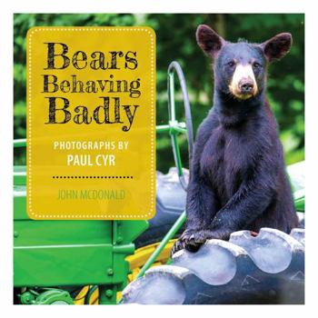 Hardcover Bears Behaving Badly Book