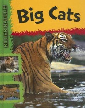 Library Binding Big Cats Book