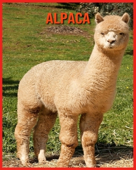 Paperback Alpaca: Amazing Facts & Pictures Book