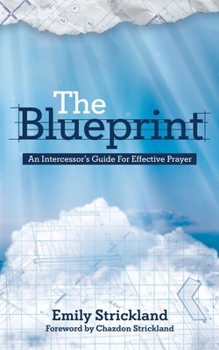 Paperback The Blueprint: An Intercessors Guide For Effective Prayer Book