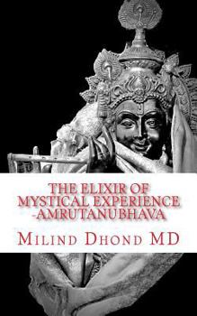 Paperback The Elixir of Mystical Experience: Amrutanubhava Book