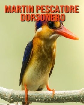 Martin pescatore dorsonero: Fantastici fatti e immagini