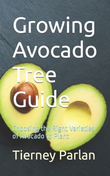 Growing Avocado Tree Guide: Choosing the Right Varieties of Avocado to Plant
