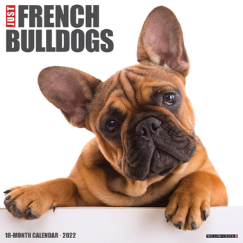 Calendar Just French Bulldogs 2022 Wall Calendar, (Dog Breed) Book