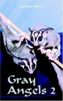 Paperback Gray Angels 2 Book