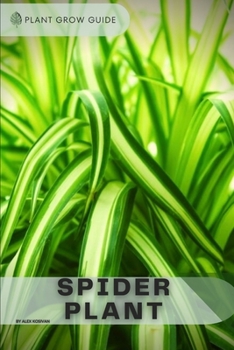 Spider Plant: Plants guide