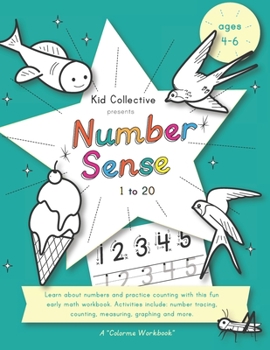 Paperback Number Sense: Counting and recognizing numbers 1 to 20 Book
