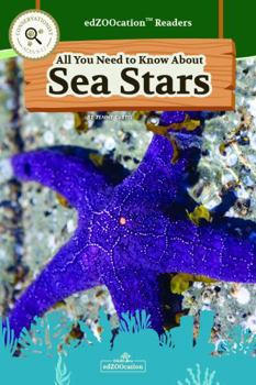 Sea Stars