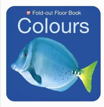 Hardcover My Fold Out Colours. [Roger Priddy & Robert Tainsh] Book
