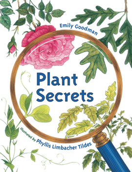 Paperback Plant Secrets Book