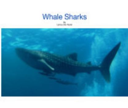 Paperback Whale Sharks Book