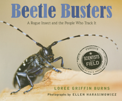 Library Binding Beetle Busters: A Rogue Insect and the People Who Track It Book