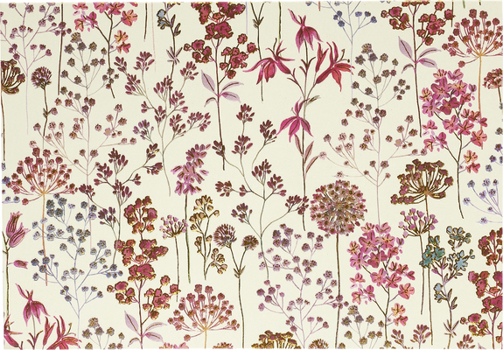 Misc. Wildflower Meadow Note Cards (Stationery, Boxed Cards) Book