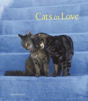 Hardcover Cats in Love Book