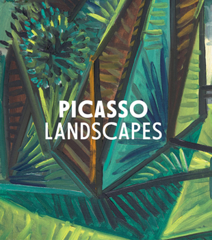 Hardcover Picasso Landscapes: Out of Bounds Book
