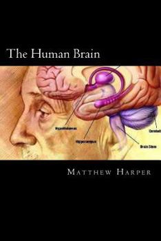 Paperback The Human Brain: A Fascinating Book Containing Human Brain Facts, Trivia, Images & Memory Recall Quiz: Suitable for Adults & Children Book