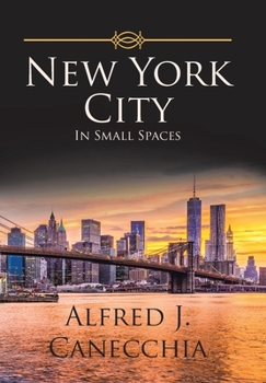 Hardcover New York City: In Small Spaces Book