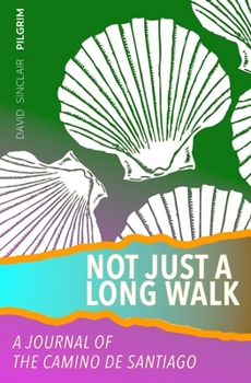 Paperback Not Just a Long Walk: A Journal of the Camino de Santiago Book