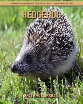 Paperback Hedgehog: An Amazing Animal Picture Book about Hedgehog for Kids Book